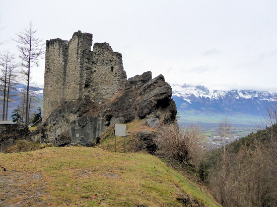 Ruins of the wild castle