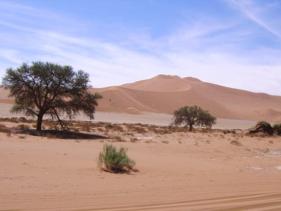 Dune near Sossusvlei