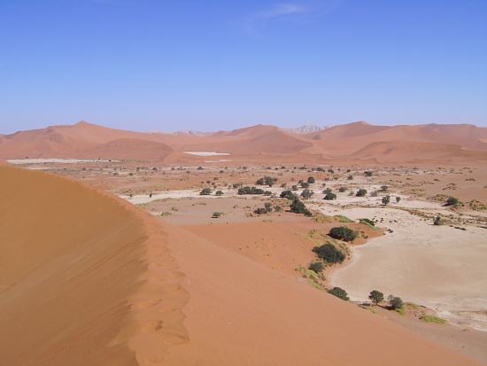 Düne bei Sossusvlei