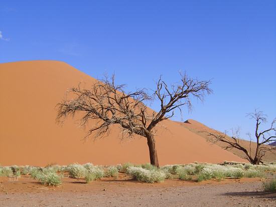 Dunes near Sossusvlei