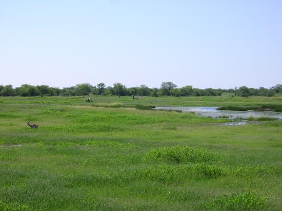 water hole