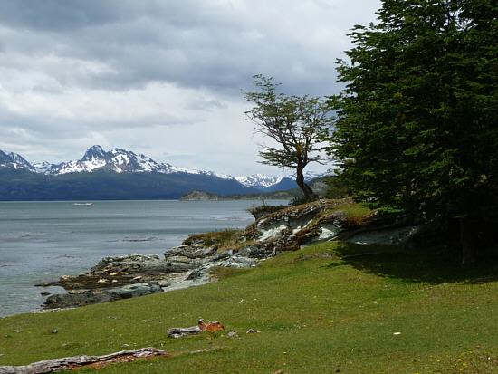 Blick über den Beagle-Kanal zu den Bergen in Chile