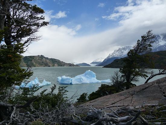 Lake Grey with Glacier Grey in the background