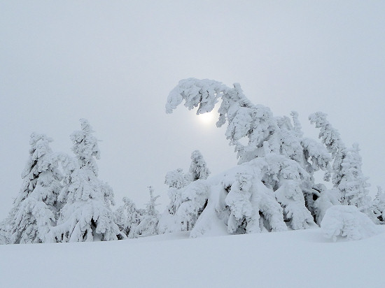 am Brocken