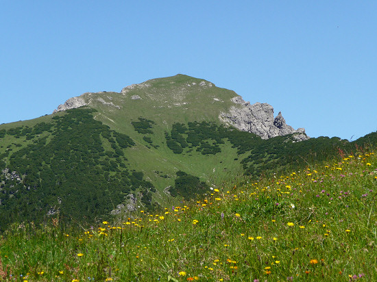 Galinakopf (2198 m), Ansicht vom Valorschtal