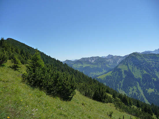 Blick oberhalb Bärgälla in Richtung Naafkopf, Grauspitz und Falknis