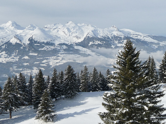 Blick von Gaflei ins Rheintal