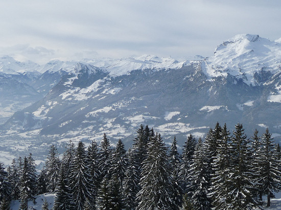 Blick von Gaflei ins Rheintal