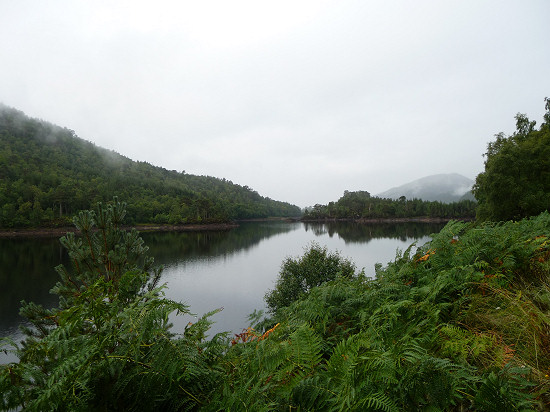 Glen Affric