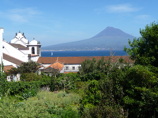 Blick über Horta zum Pico