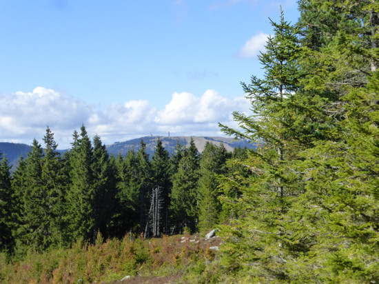 Blick von der Schnepfhalde zum Feldberg