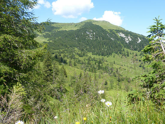 Blick zum Schönberg