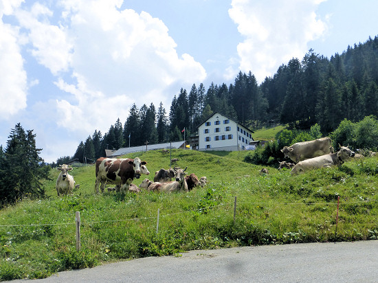 Berggasthaus Sücka