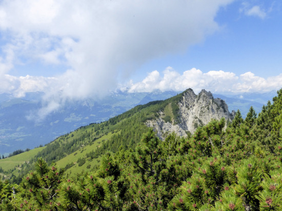 Blick vom Helwangspitz zum Alpspitz