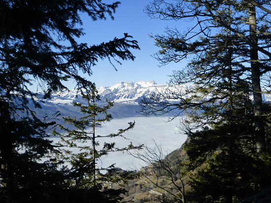 View towards Sareis and into the Rhine Valley with fog