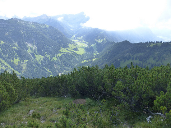 Blick von der Lichtung im Legförenwald nach Steg