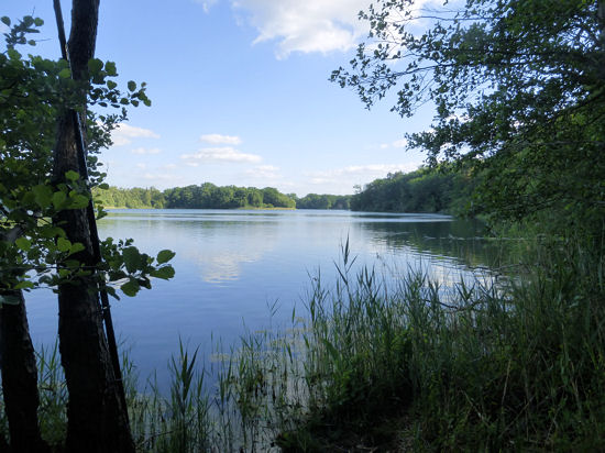 QTH - Blick zum Südende des Sacrower Sees