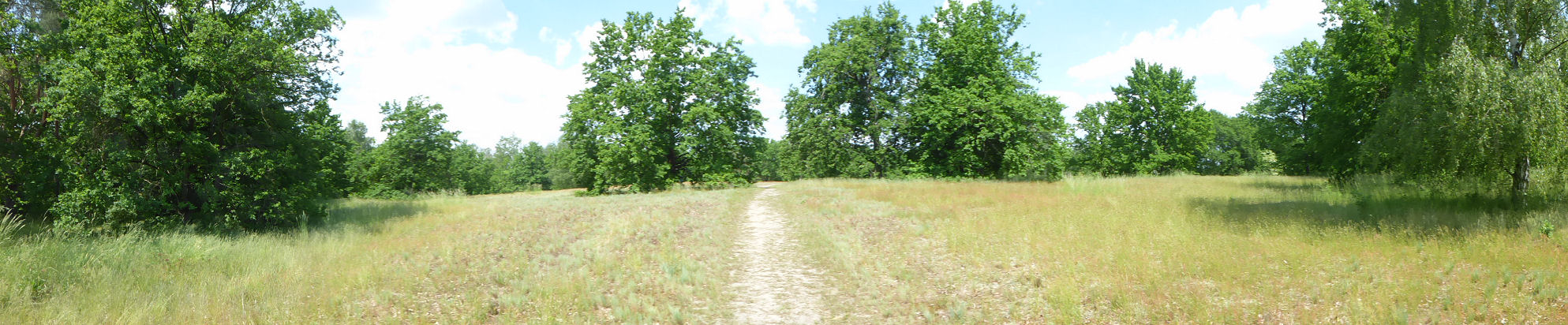 Panorama - Windmühlenberg