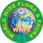 World Wide Flora & Fauna