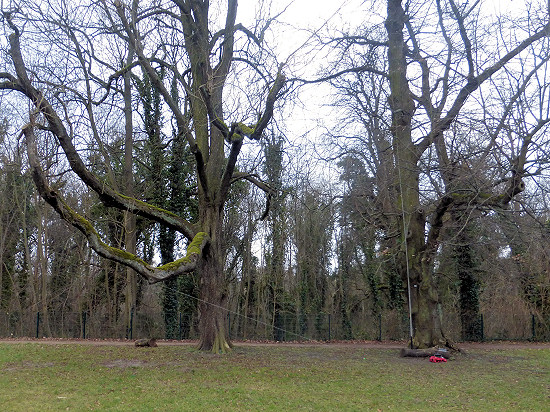 Station unter Eichen im Schlosspark Lichterfelde