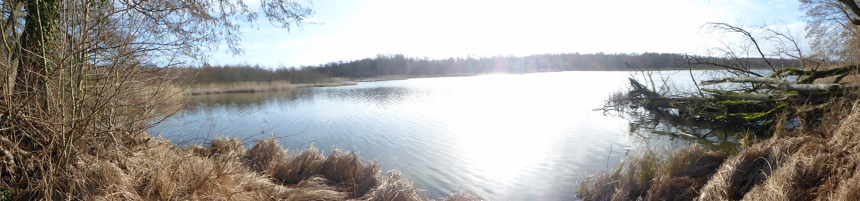 Panorama - Blick über den Görner See