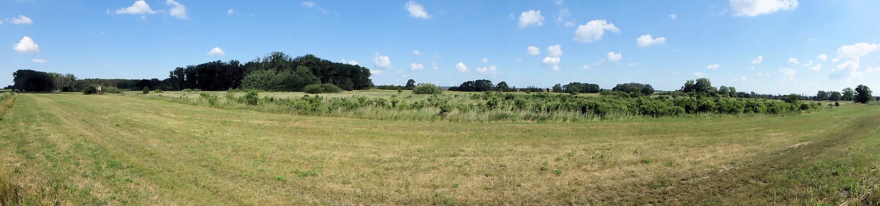 Panorama - Weesower Luch