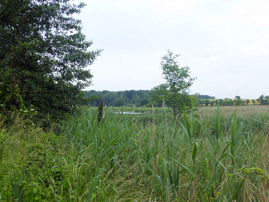 Salveytal und Mühlenteich an der Salvey-Mühle 3