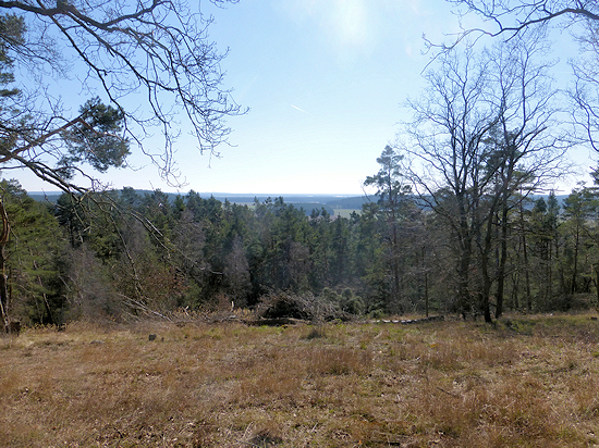 Distant view from the Gollenberg towards the southeast