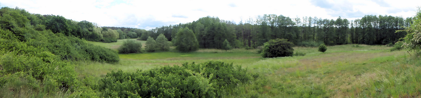 Panorama - Ruhlsdorfer Bruch