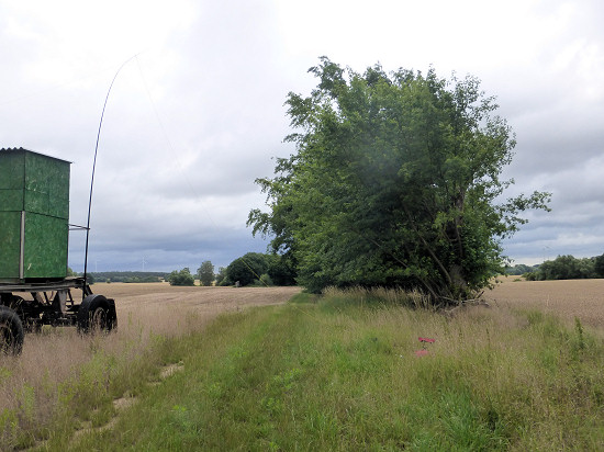 Station im Naturschutzgebiet Schwarzer Tanger