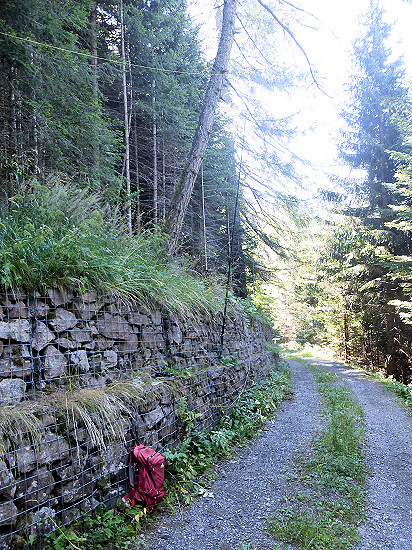 Station in the Säliwald