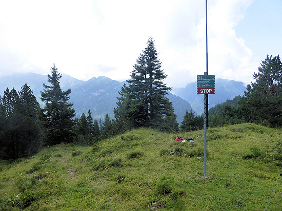 Stationsaufbau im Stachler Wald