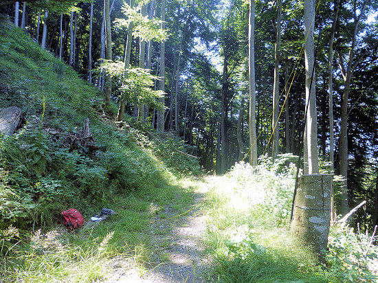 Station auf der Lichtung im Schlosswald