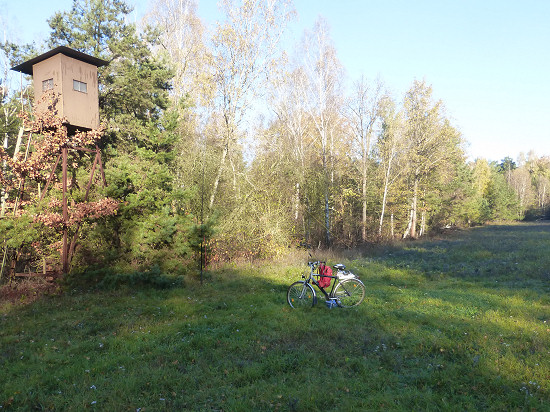 Station auf der Lichtung