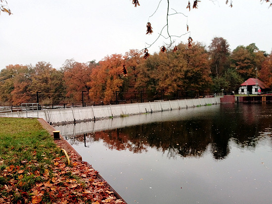 Needle weir Grütz