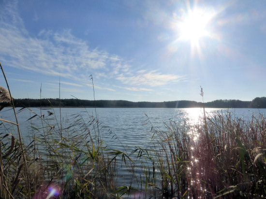 Nordufer Großer Möggelinsee