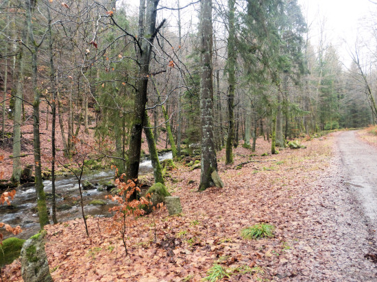 Kalte Bode in Elendstal