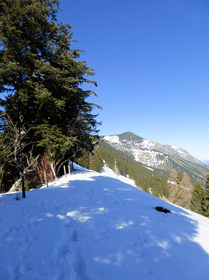 Station (right) and antenna mast (left) at the ridge