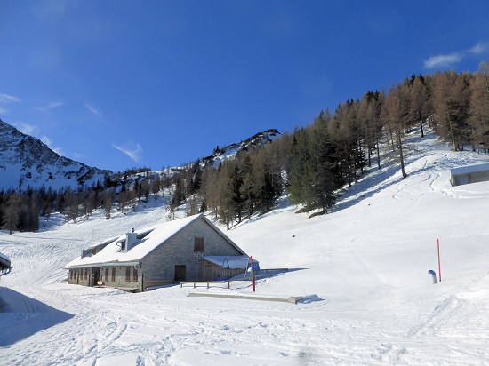 Waldreservat oberhalb der Alp Pradamee