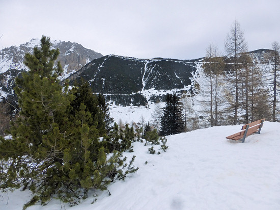 Snow-covered bench