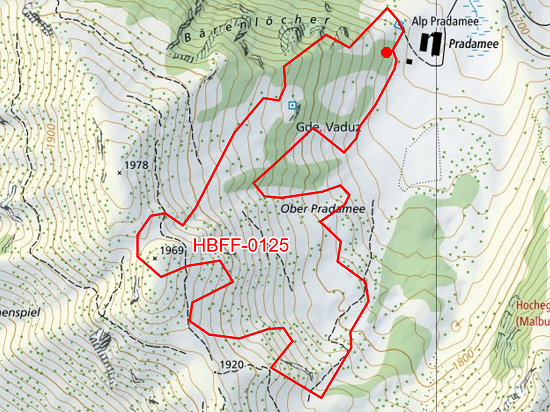 HBFF-0125 © https://map.geo.admin.ch/