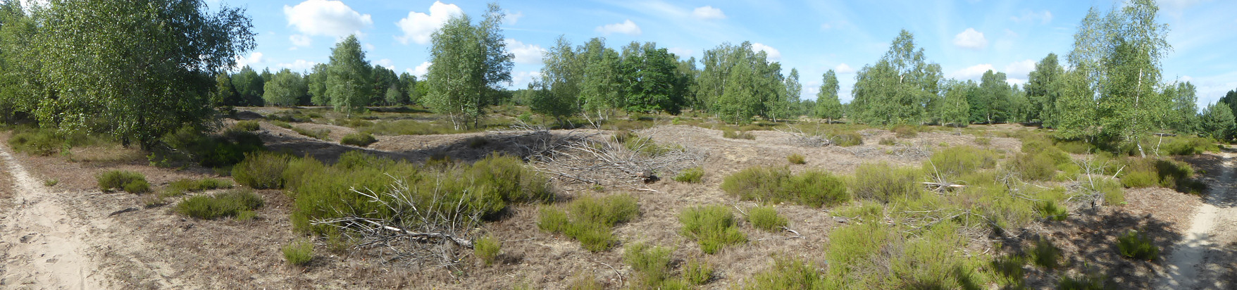 Panorama - Kleine Schorfheide