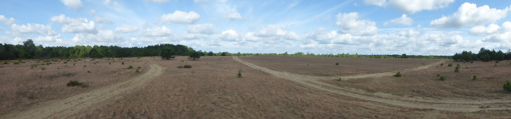 Panorama - Kleine Schorfheide