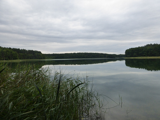 Südende des Lübbesees