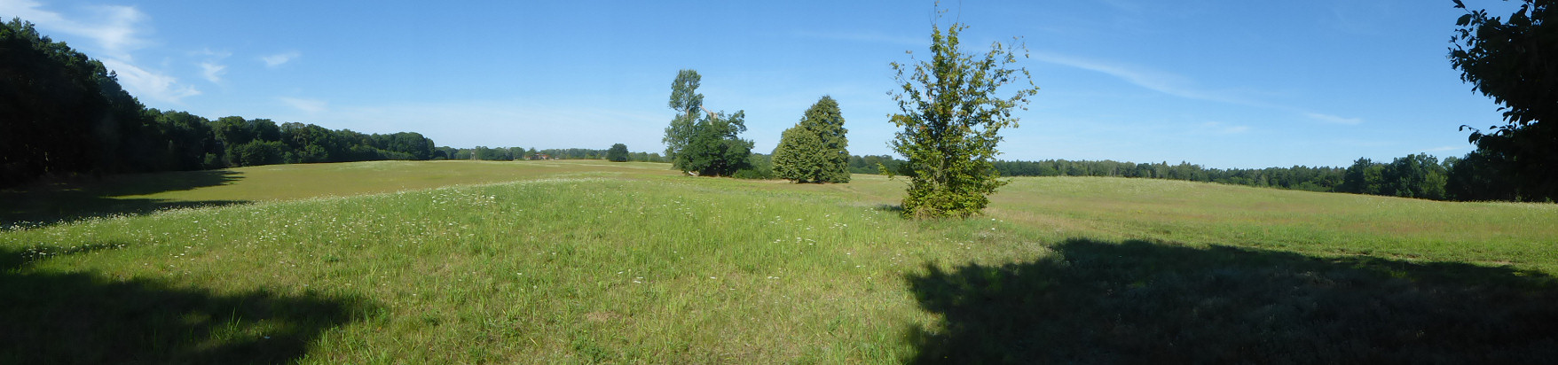 Panorama - Moränenlandschaft nördlich des Kleinen Prüßnicksees