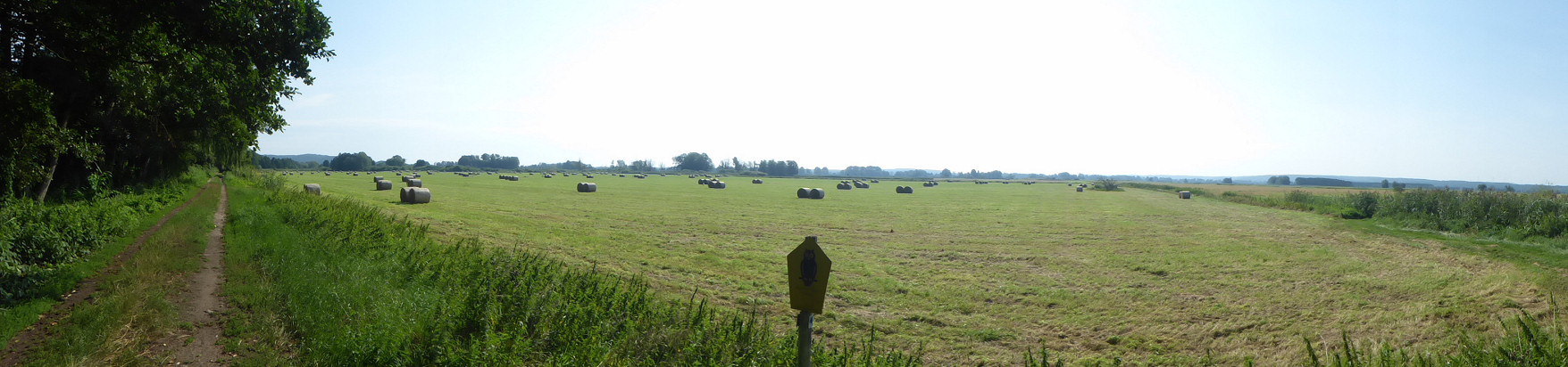 Panorama - Niederoderbruch