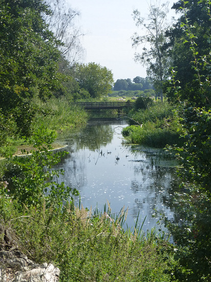 Holzbrücke nahe Schleuse Liepe