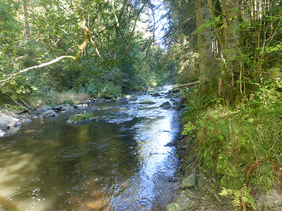 die ersten Meter der Wutach