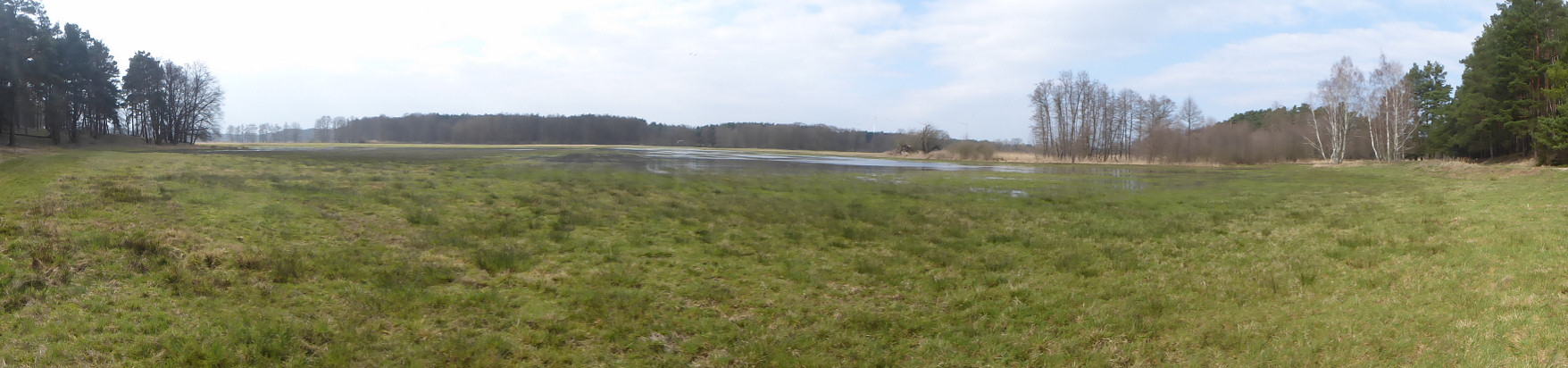 Panorama - Schwarzberge und Spreeniederung