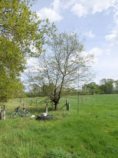 Station nahe der Alten Elster